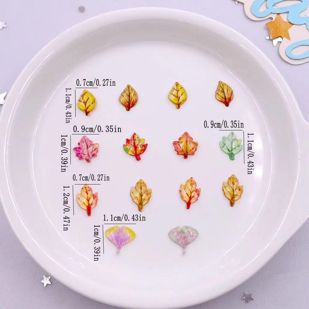 50pcs Mixed Resin Mini Crystal - مراجعة Paradise Jewelry & Watches Llc Miami Photos وسعره