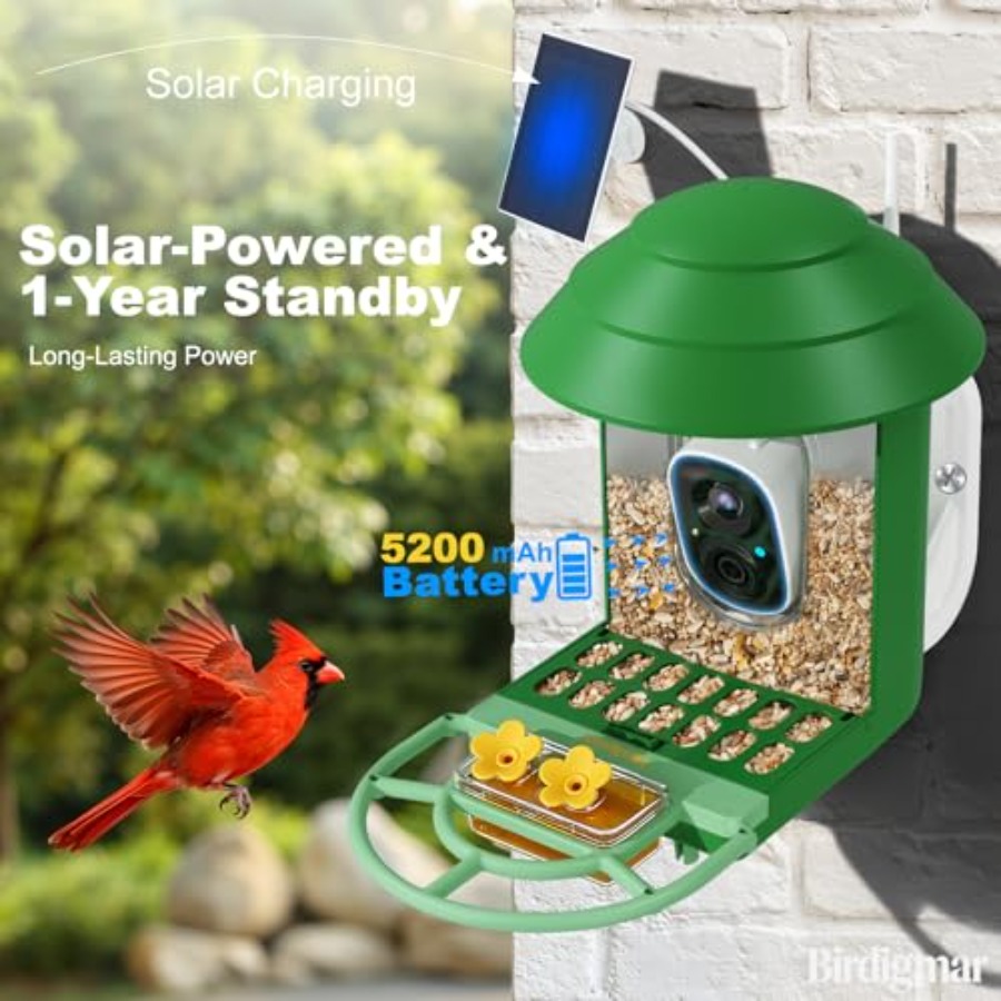 Bird Feeder with Camera for Ou - مراجعة Watches & Jewelry Repair Center Photos وسعره