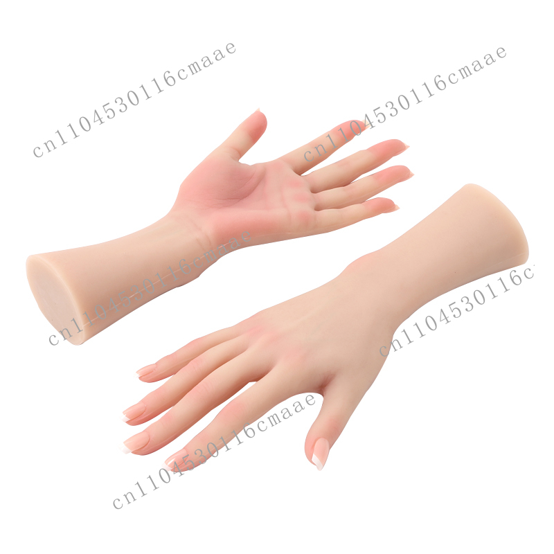 Female Silicone Hand Model, Us - مراجعة Used Jewelry Watches وسعره