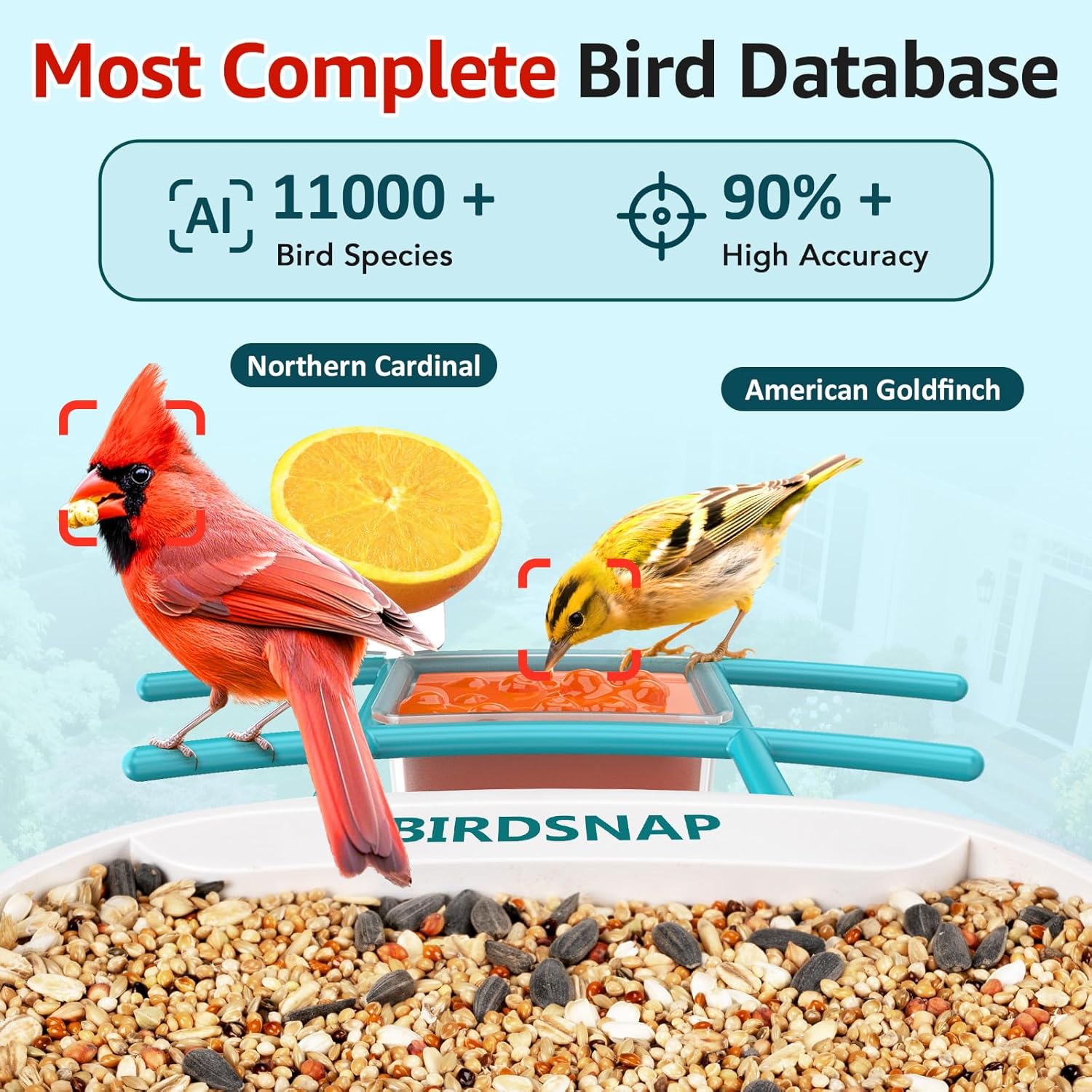 2K HD Bird Feeder Camera with  - مراجعة Watches & Jewelry Repair Center Photos وسعره