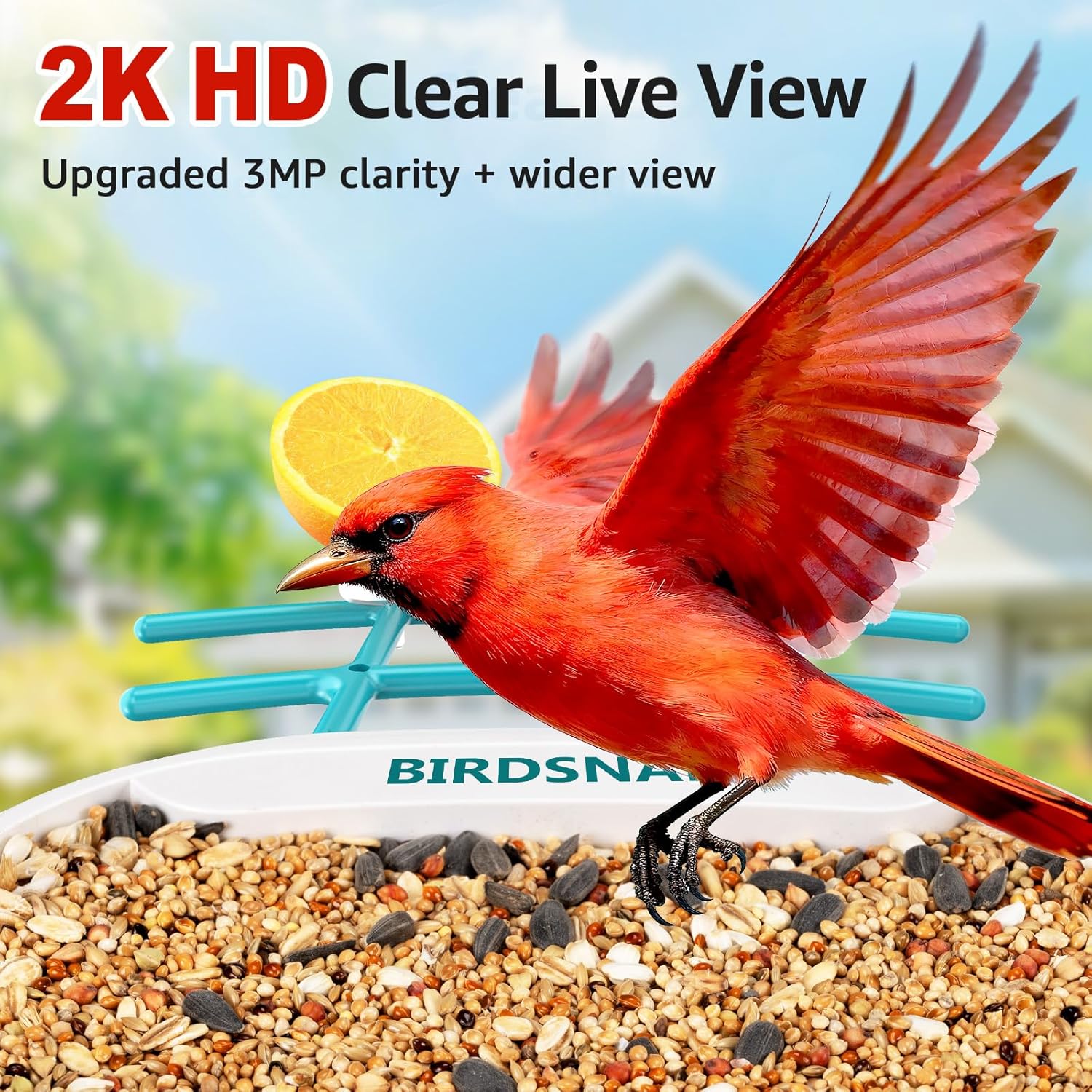 2K HD Bird Feeder Camera with  - مراجعة Watches & Jewelry Repair Center Photos وسعره